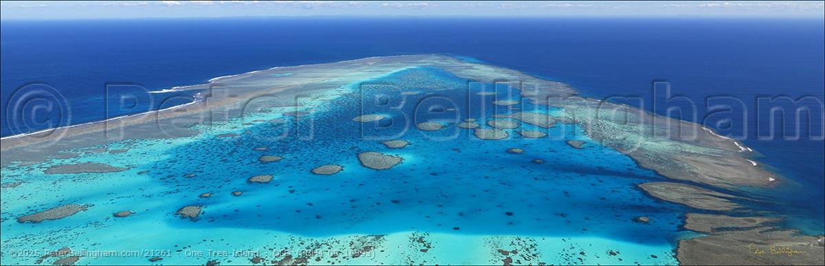 Peter Bellingham Photography One Tree Island - QLD (PBH4 00 18393)
